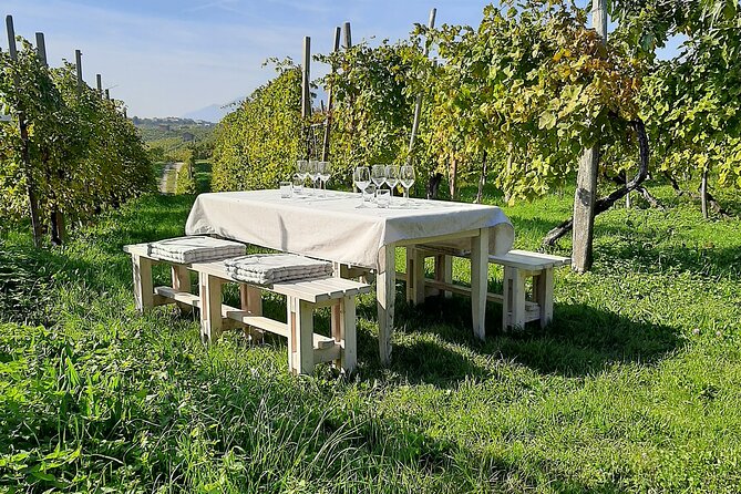 2 Guests Private Prosecco Road Tour All Inclusive from Venice - Prosecco Road, Venice pickup, and why this tour is set up well