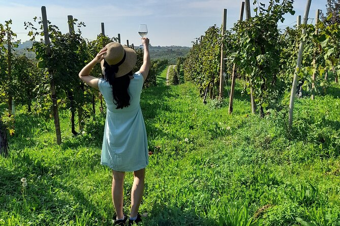 2 Guests Private Prosecco Road Tour All Inclusive from Venice - Valdobbiadene vineyard picnic on the steepest slopes