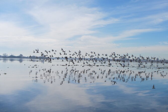 2 Hour Night Kayak Tour in Venice, premium experience with sunset - Entering Venice by kayak: why sunset changes everything