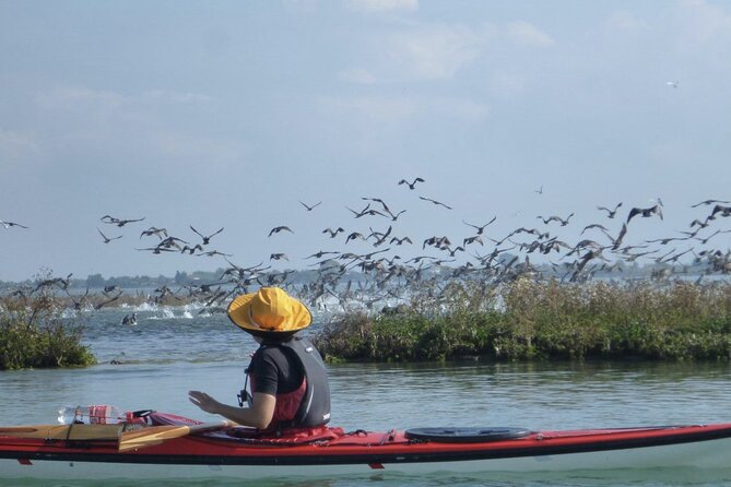 2 Hour Night Kayak Tour in Venice, premium experience with sunset - The slow paddle through canals: your view gets personal fast