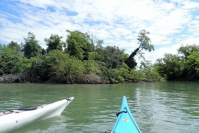 2 Hour Night Kayak Tour in Venice, premium experience with sunset - Into the Venetian Lagoon: learning wildlife in real time