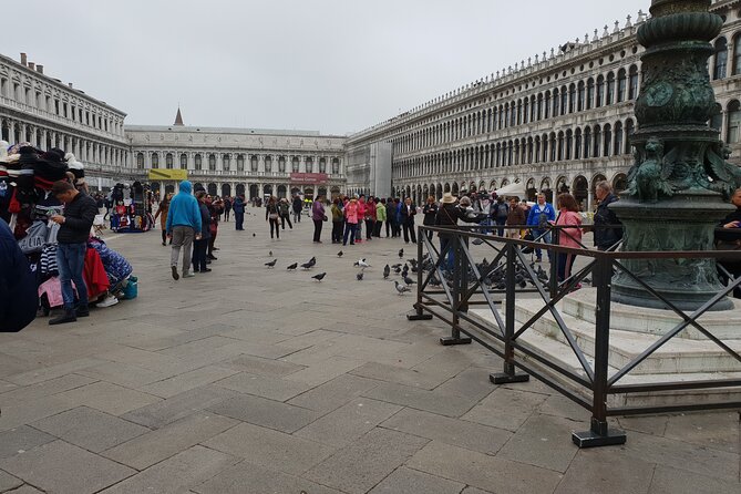 3-hour Best of Venice Highlights Private Walking Tour - Fondamenta Nove Promenade: Lagoon Views and the Islands You Can Actually See