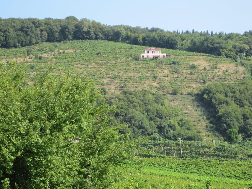 8-Hour Prosecco Wine and Tastings Tour from Venice or Padua - Should You Book This Prosecco Tour?
