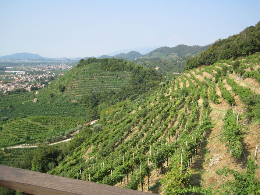 8-Hour Prosecco Wine and Tastings Tour from Venice or Padua - Cantina Stop One: Production Lessons and Your First Prosecco Lineup