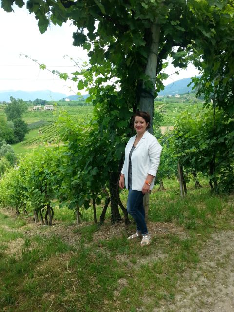 8-Hour Prosecco Wine and Tastings Tour from Venice or Padua - Getting Out of Venice or Padua: The Ride Matters
