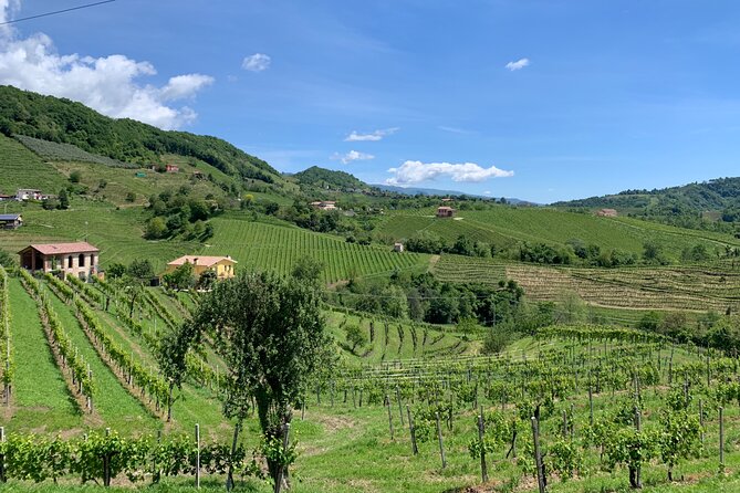 A Sparkling Day in the Prosecco Hills from Venice - Stop 1 near Valdobbiadene: tastings with a production lesson