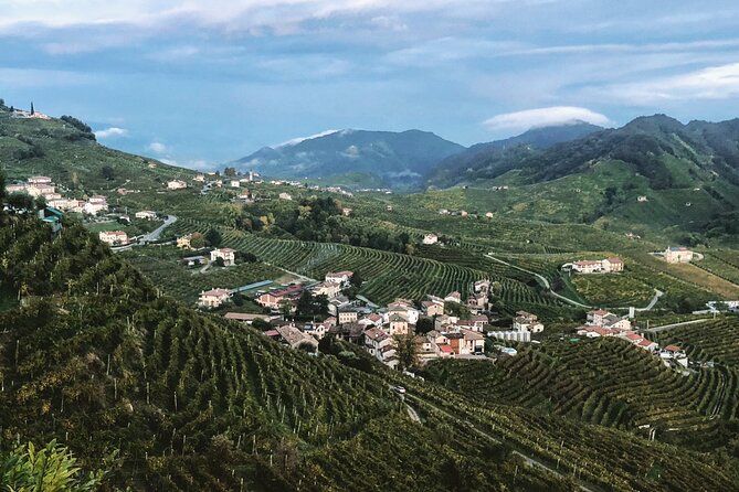 Adventure in the Prosecco Hills by Yellowboot - Conegliano winery stop: four tastings, a more family feel, and a second lunch