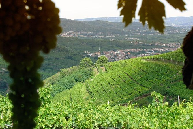 Amarone & Soave Wine Tour with Sommelier – Visit Verona - Key things to know before you go