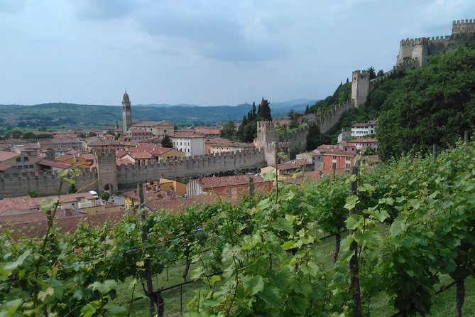 Amarone & Soave Wine Tour with Sommelier – Visit Verona - Soave winery time: crisp whites and a real producer experience