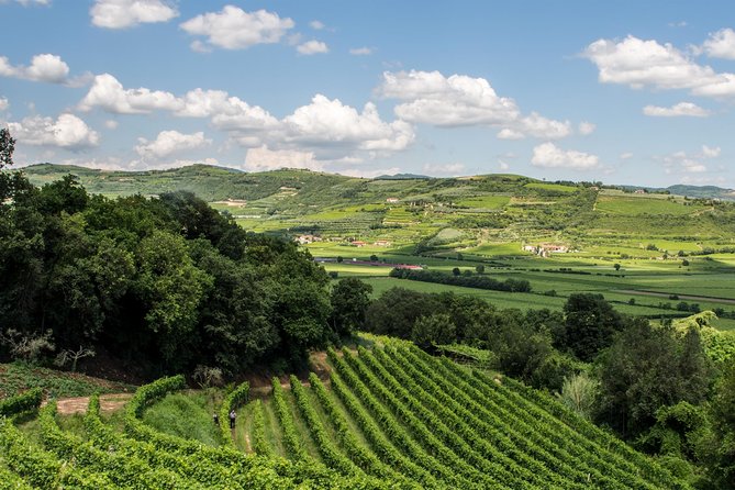 Amarone & Soave Wine Tour with Sommelier – Visit Verona - Riccardo’s Verona walk: quick hits you’ll remember