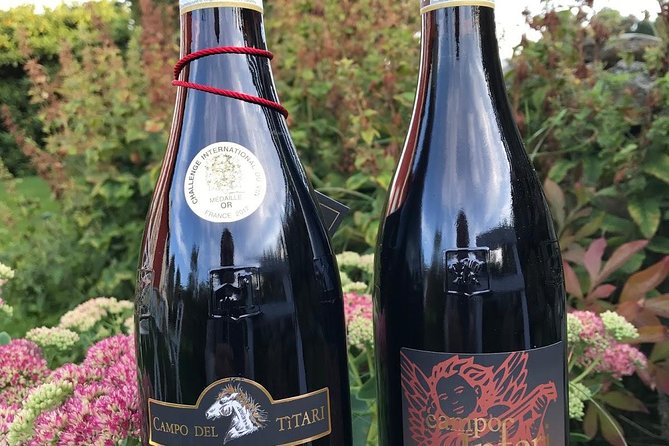 Amarone-Valpolicella tour. Visit Verona. From Venice - A six-hour Amarone day that feels like two trips