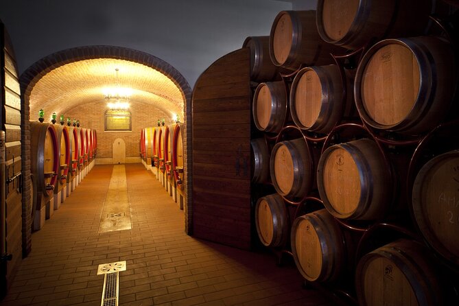 Amarone-Valpolicella tour. Visit Verona. From Venice - Valpolicella winery visit: what you should expect to see