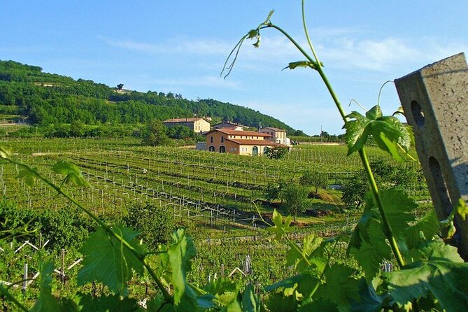 Amarone-Valpolicella tour. Visit Verona. From Venice - Lunch with local cheese and salami: an easy, smart palate reset