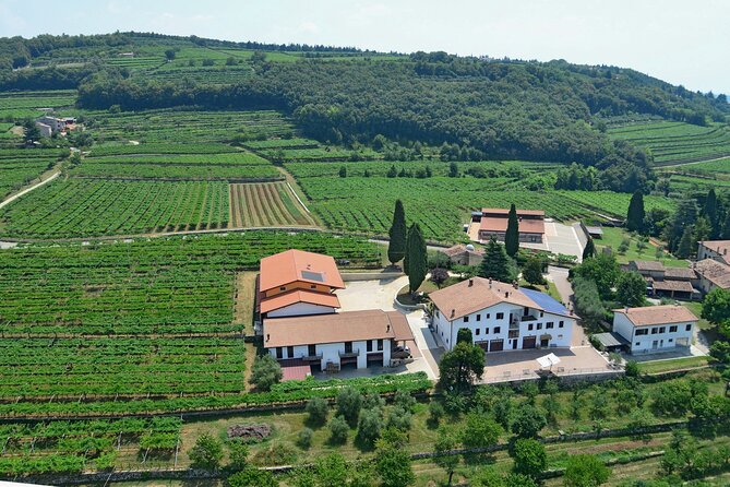 Amarone-Valpolicella tour. Visit Verona. From Venice - Private-feeling service in a small group day