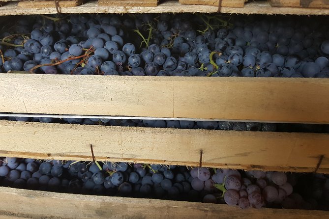 Amarone Wine Tour (all-inclusive full day with lunch and expert wine guide) - Getting to Traghetto Venezia without a headache