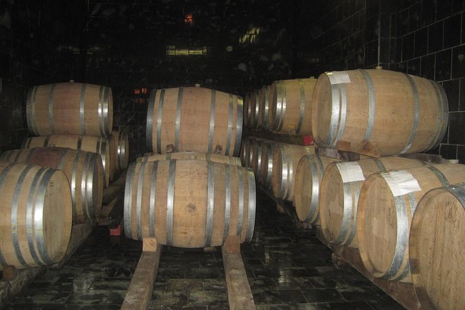 Amarone Wine Tour (all-inclusive full day with lunch and expert wine guide) - Winery stops that focus on small producers, not just big brands