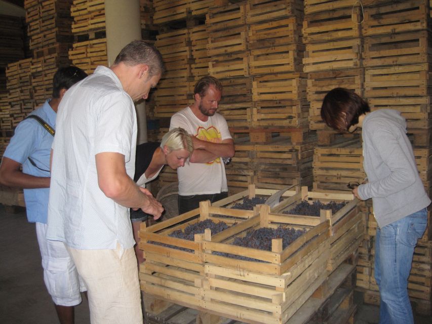 Amarone Wine Tour & Tasting from Venice, Padua or Verona - Buying Wine Without Making It Awkward