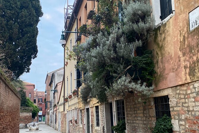 Another Side of the City: Discovering Authentic Venice - Price, timing, and value for money