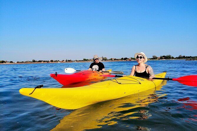 Burano Kayak Eco-Tour Through the Venetian Lagoon - The Salt Marsh Waypoints: Nature Spotting with Context
