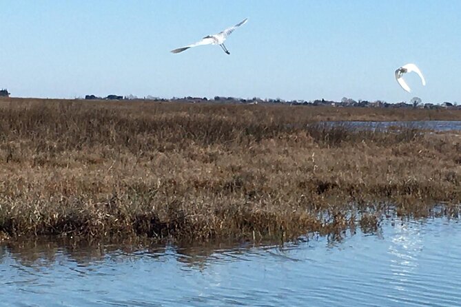 Burano Kayak Eco-Tour Through the Venetian Lagoon - Before You Paddle: Instruction, Safety, and Lagoon Navigation