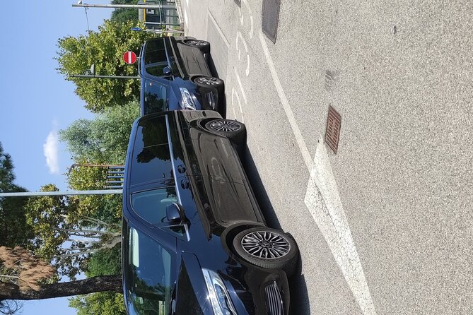 Cruise port Trieste or Ravenna from Venice-Mestre area - What the Reviews Suggest About Driver Quality (The Good and the Concerning)