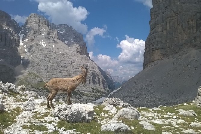 Dolomites Hiking tour - Why This Dolomites Hike Works A Venice Day