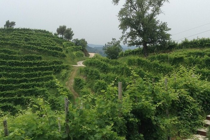 Exclusive Prosecco Wine Tour from Venice - Small Group - Timing, Transportation, and the Flow of the Day