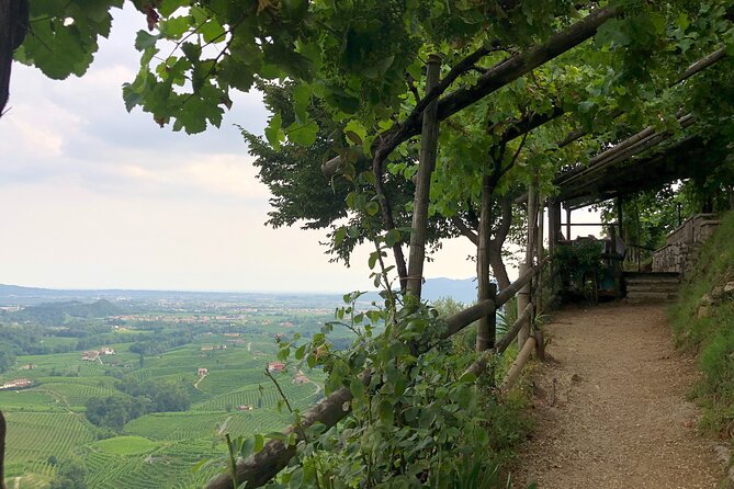 Food and Wine Tour on the Prosecco Hills from Venice - Vittorio Veneto and the return to Venice