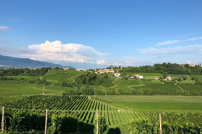 Food and Wine Tour on the Prosecco Hills from Venice - Tastings and lunch that feel built for food lovers