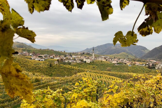 Food and Wine Tour on the Prosecco Hills from Venice - Grappa at the ancient distillery: smooth, but don’t rush it