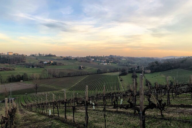 Food and Wine Tour on the Prosecco Hills from Venice - Conegliano: medieval ruins and the start of the DOCG story