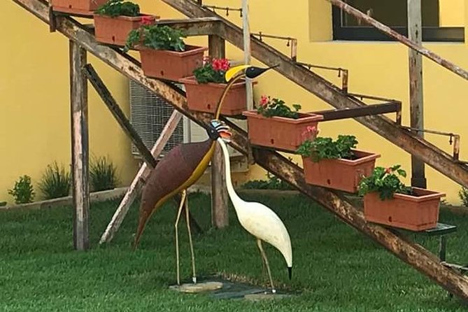 FriendInVenice Murano Burano Torcello Private Tour By Luxury Boat - FAQ