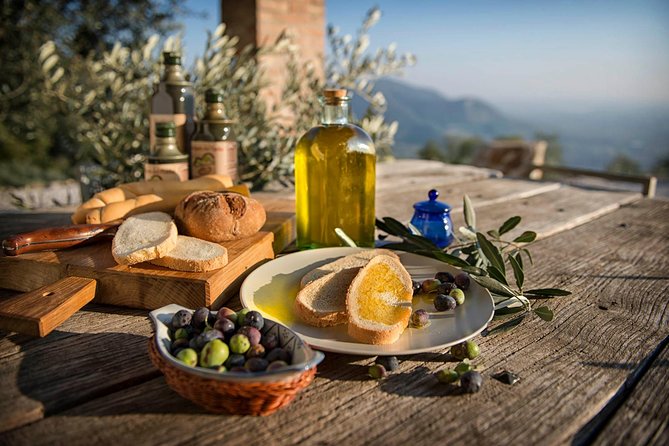 From Venice: Olive Oil & Wine Tour in the Venetian Hills - Key Things That Make This Tour Worth Your Time
