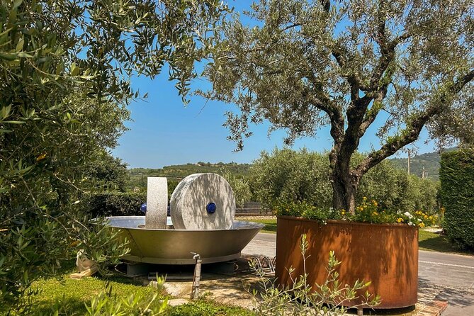 From Venice: Olive Oil & Wine Tour in the Venetian Hills - Euganean Spas in Abano Montegrotto: A Comfortable Launch Point