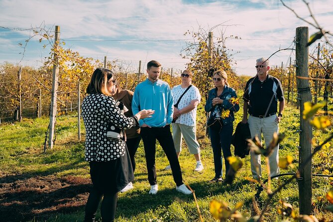 From Venice: Prosecco Wine Region Tour with 2 Tastings - Wine, food, and pace: what “2 tastings + lunch” really feels like
