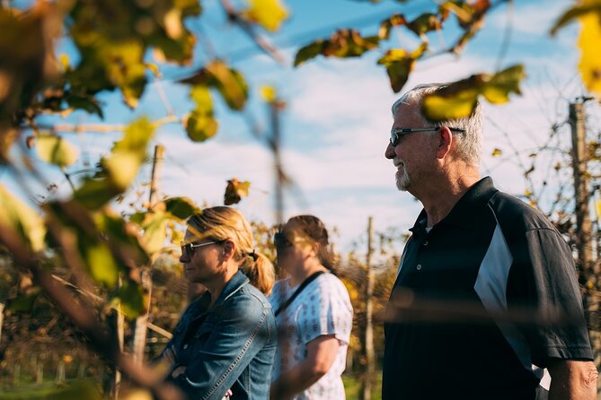 From Venice: Prosecco Wine Region Tour with 2 Tastings - The group size and van comfort: why “up to 8” matters