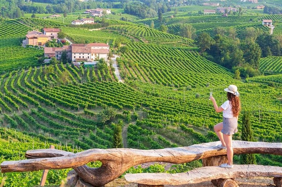 From Venice: Wine and Food tour in the Prosecco Hills - The scenic pause: a short photo stop with real payoff