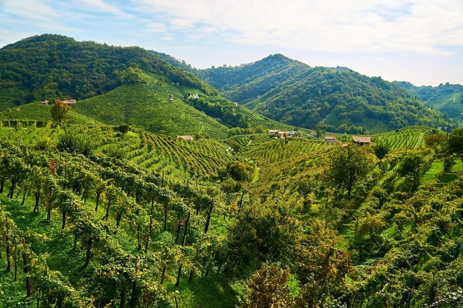 From Venice: Wine and Food tour in the Prosecco Hills - Farra di Soligo winery visit: why the family-run setting changes everything