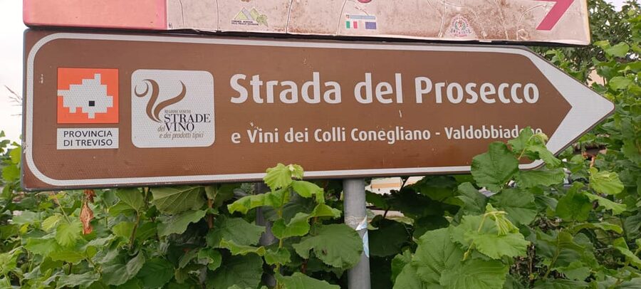 From Venice: Wine and Food tour in the Prosecco Hills - Time and value: why $175.59 can make sense for a small-group wine day
