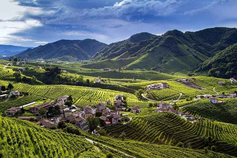 From Venice: Wine and Food tour in the Prosecco Hills - Logistics that affect your day (so you can plan without stress)