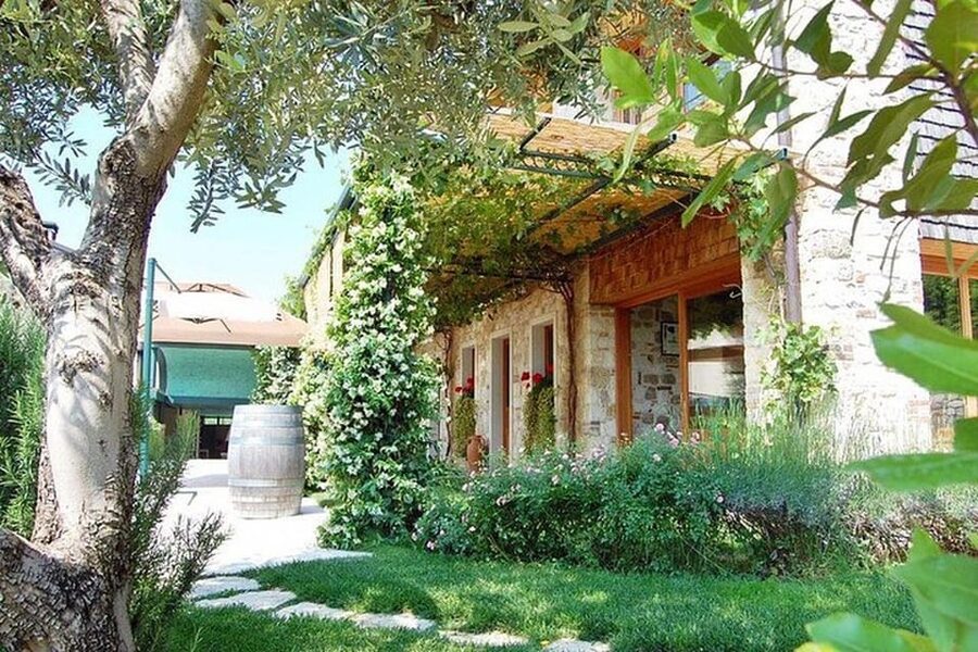 From Venice: Wine and Food tour in the Prosecco Hills - Starting in Venice: meeting point, private ride, and Paolo’s role