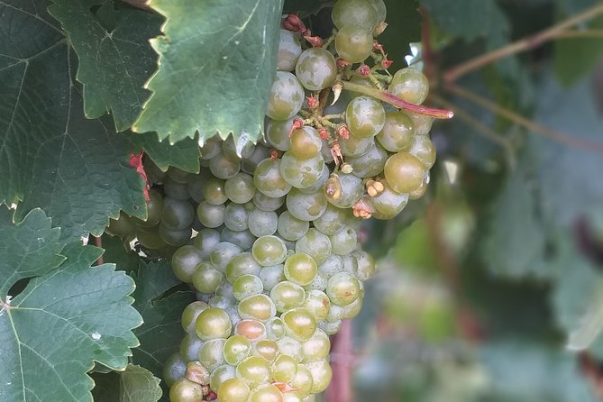 Full day Private Prosecco Tour, with certified Sommelier - What You Learn About Prosecco When You Taste in Order
