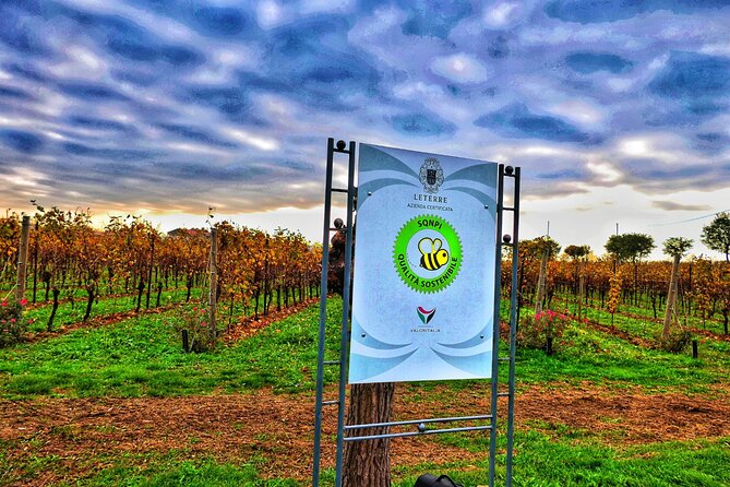 Full day Private Prosecco Tour, with certified Sommelier - Private Group Details That Make the Day Feel Easy