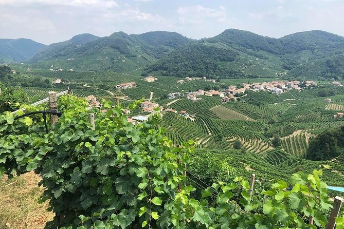 Full Day Prosecco and Cheese Tasting from Venice - Key highlights worth planning for
