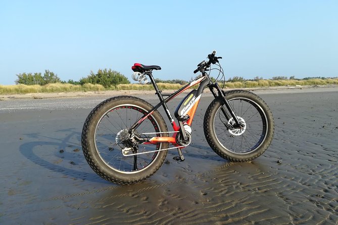 Full Day Venice E-Bike Rental - Key highlights worth planning around