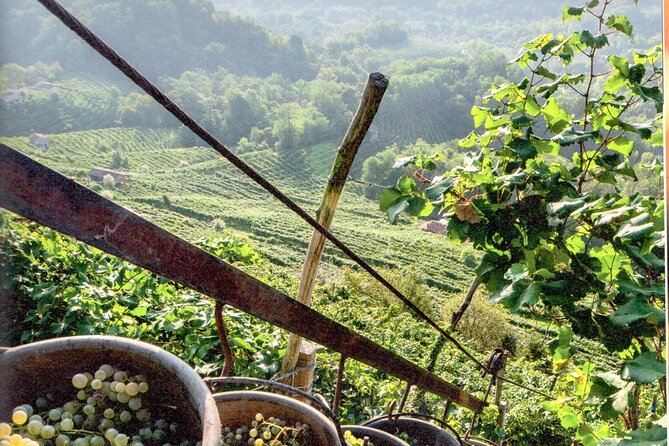 Full Day Wine Tour and Tasting in the Prosecco Region - Winery Stop 2 in the hills: second tasting and long-family passion