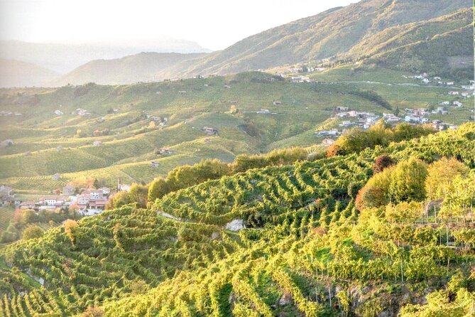 Full Day Wine Tour and Tasting in the Prosecco Region - Getting around in a small group: comfort, timing, and flexibility