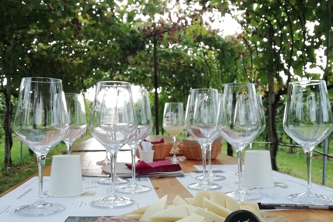 Full Day Wine Tour and Tasting in the Prosecco Region - Winery Stop 1 in Valdobbiadene: production views and Prosecco Superiore DOCG tasting