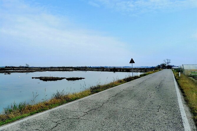 Lio Piccolo: Flamingos & Birdwatching Bike Tour in the Lagoon - Treporti Bike Pickup: City Bikes, Tandems, and the e-Bike Choice