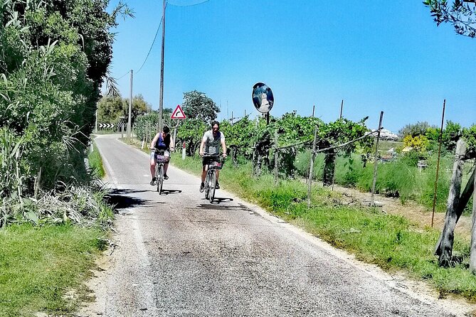 Lio Piccolo: Flamingos & Birdwatching Bike Tour in the Lagoon - Via delle Mesole: Cycling Views of Mudflats, Dunes, and Fishing Valleys